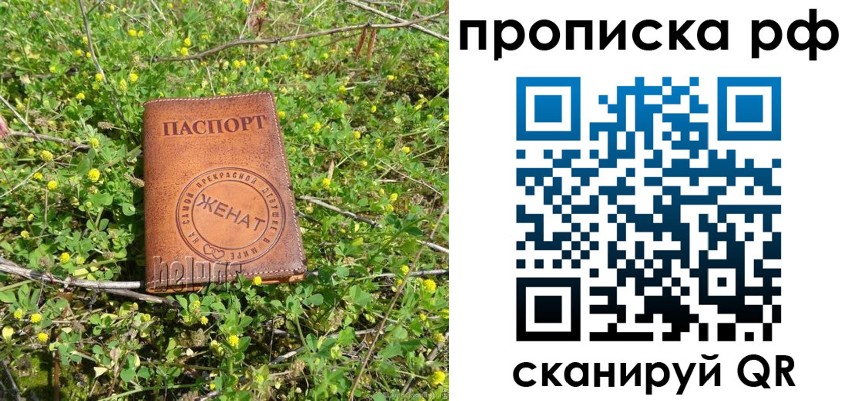 прописка паспорт в Шахтах